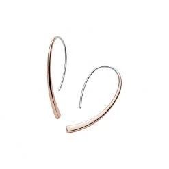 Skagen Ohrhänger SKJ1212998 Damen