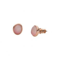 Skagen Ohrstecker SKJ1468791 Damen