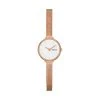 Skagen Damenuhr Gitte Lille SKW3043 Roségold Damen